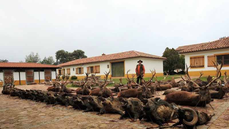 monteria-Ribera-Alta