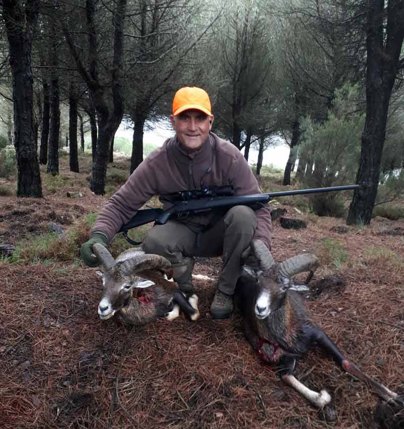 monteria-llanos-Torretas-de-Cucarrete