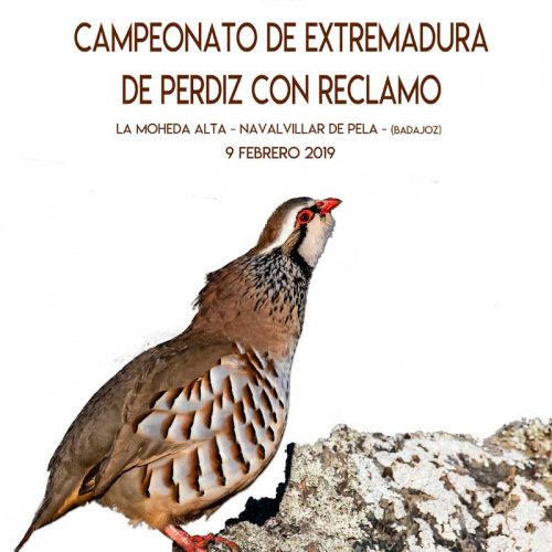 XXII Campeonato de Extremadura de Perdiz con Reclamo