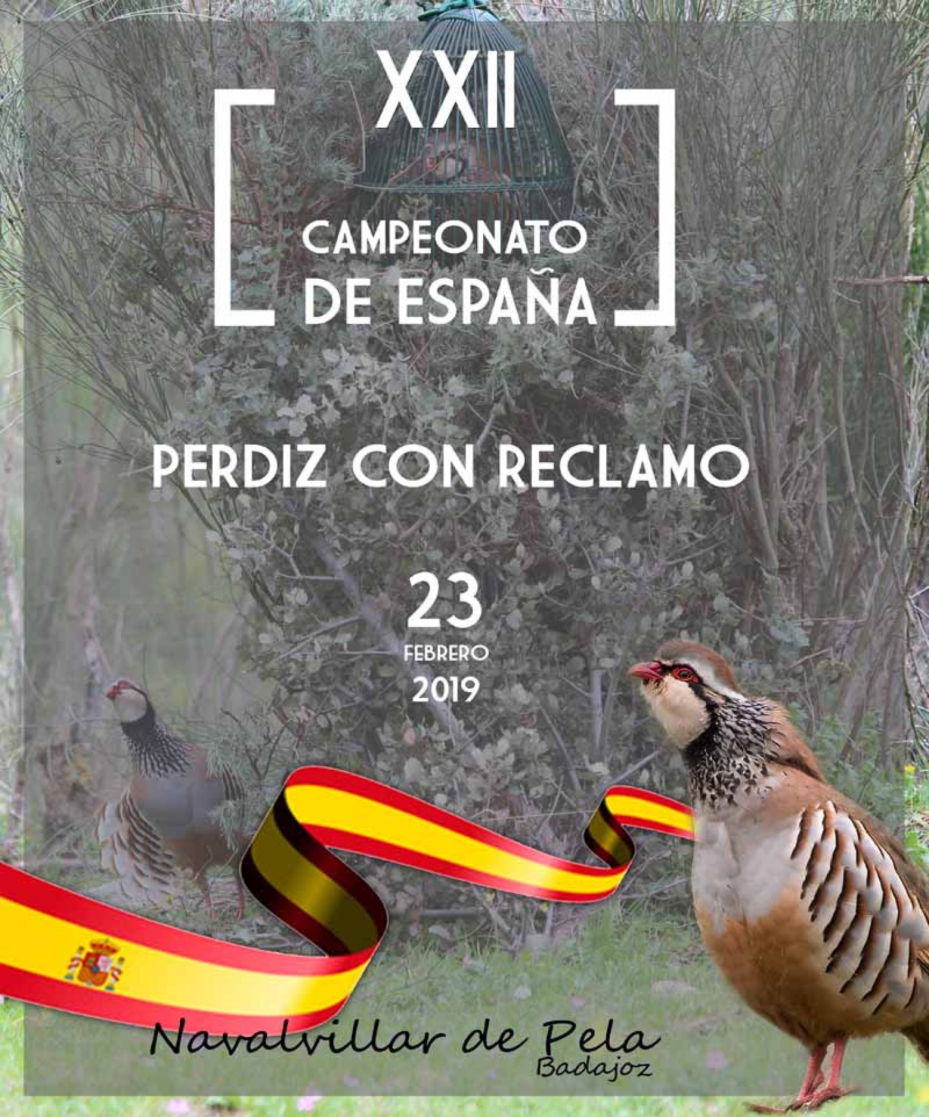 Campeonato de España de Perdiz con Reclamo 2019 en Navalvillar de Pela