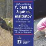 campaña-humanizacion=maltrato_1