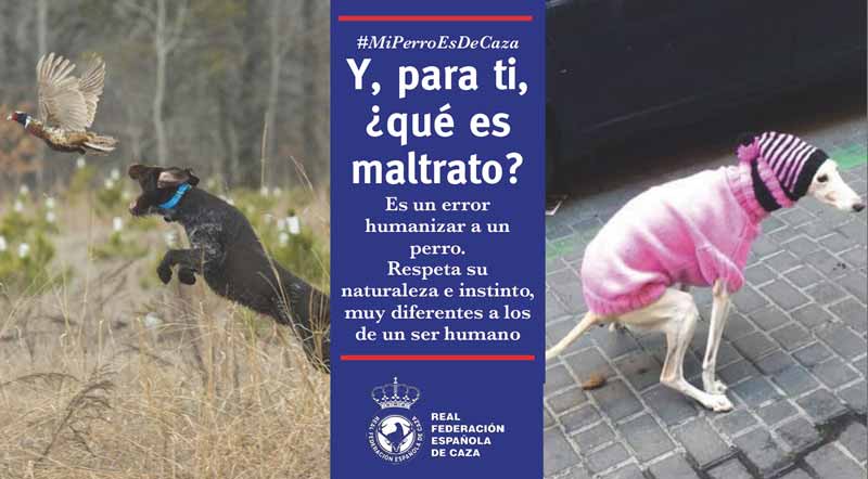 campaña-humanizacion=maltrato_1