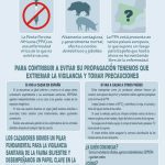 infografia-ppa