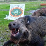 monteria-El-Membrillejo