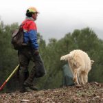 recta-final-temporada-montera