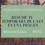 resumen-tu-temporada-de-caza