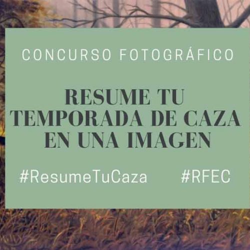 La RFEC pone en marcha el concurso  «Resume tu temporada de caza en una imagen»
