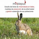 Diptico-MIXOlepus