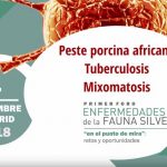 conclusiones-foro-enfermedades-fauna