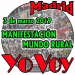 manifestacion-2019-yo-voy