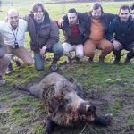 monteria-Cabestreras