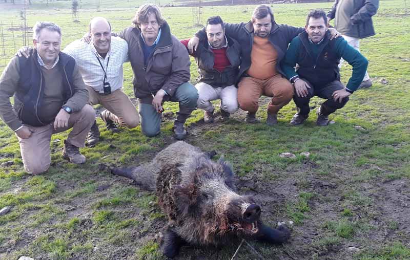 monteria-Cabestreras