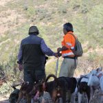 ultimos-lances-del-19