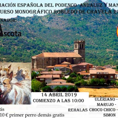 Inscríbete ya en el Concurso Monográfico del Podenco Andaluz y Maneto