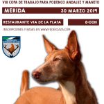 CTO-EXTREMADURA-ABIERTO-2019