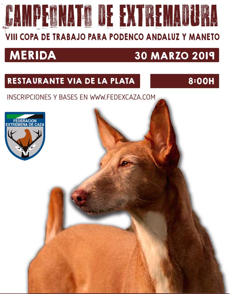 CTO-EXTREMADURA-ABIERTO-2019