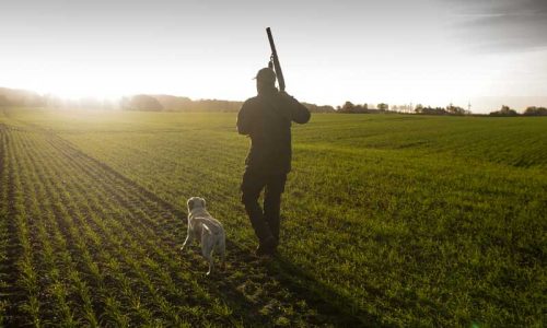 Análisis práctico de la nueva Ley de Caza de Castilla y León 