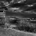 situacion-caza-castilla-y-leon