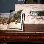 Libro-Finat