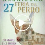 feria archidona video