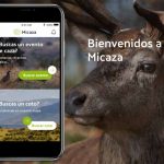 Buscador-Micaza