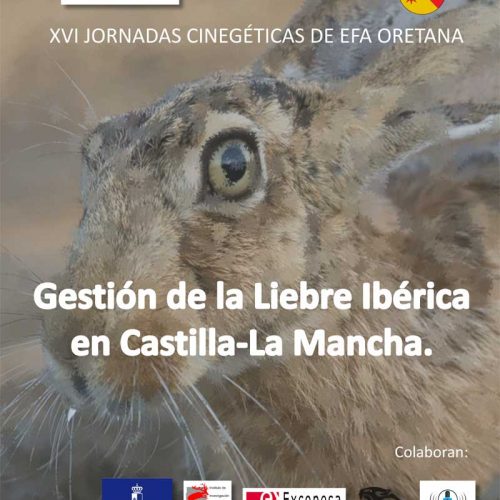 XVI Jornadas Cinegéticas, Gestión de la Liebre Ibérica en Castilla-La Mancha.