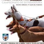 X-SALON-DEL-PODENCO