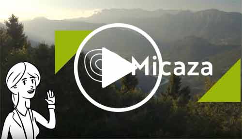Micaza