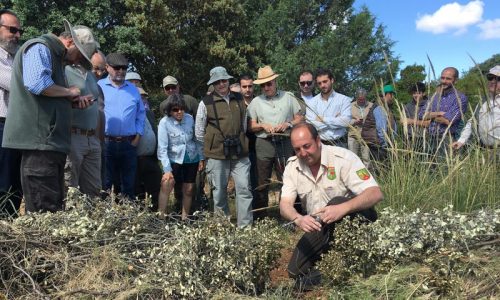El Grupo Perdicero de Castilla-La Mancha realiza con éxito un ‘Paseo de Caza’