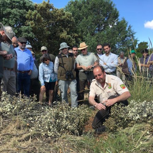 El Grupo Perdicero de Castilla-La Mancha realiza con éxito un ‘Paseo de Caza’