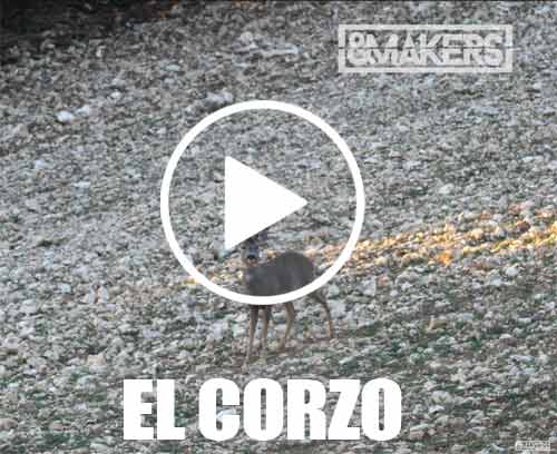corzo makers