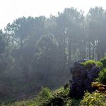 800px-Monte_Ulia_2