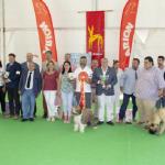 Archidona 19