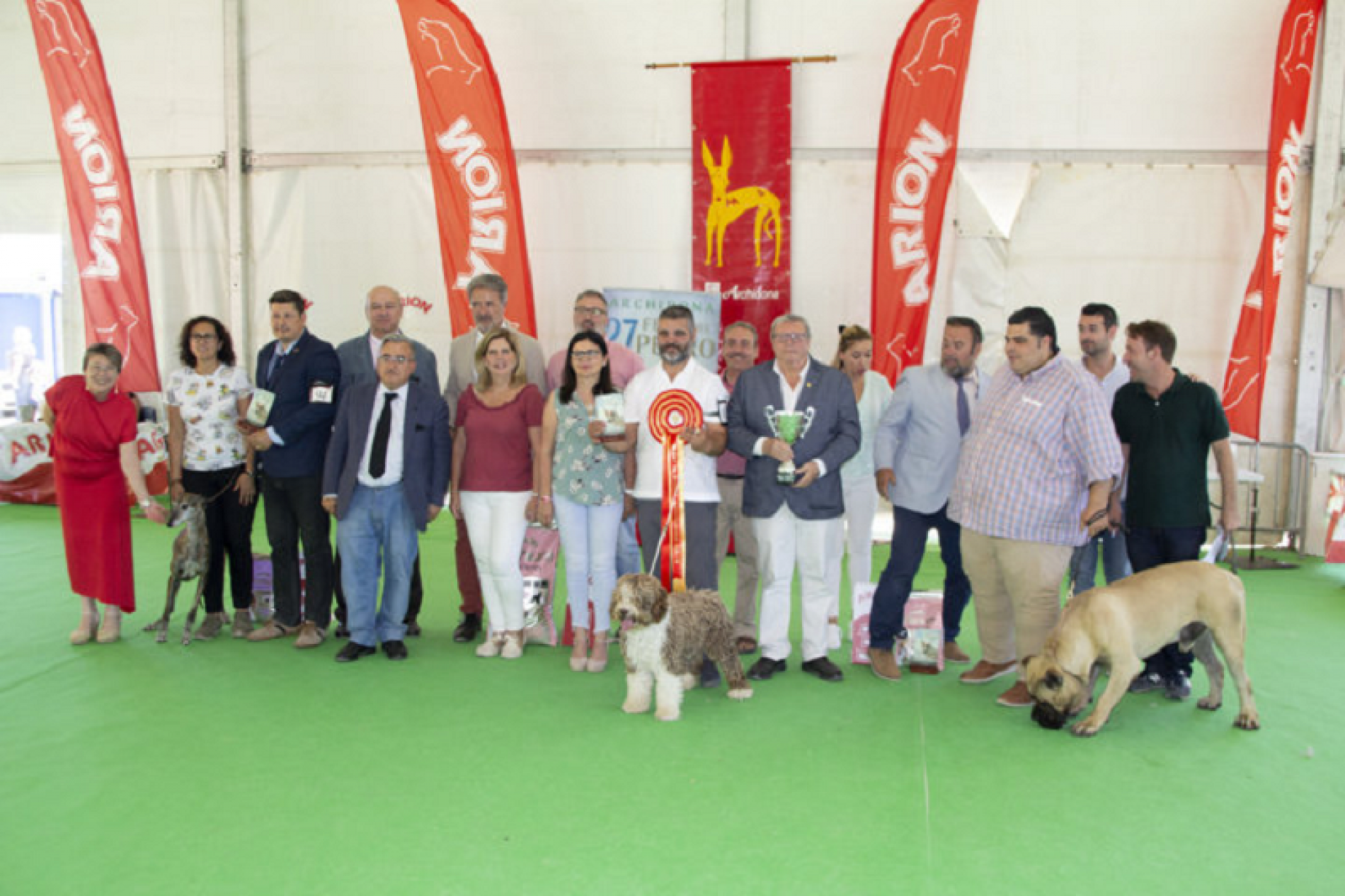 “Alma” un perro de agua español ganador en la XXVII Feria del Perro de Archidona