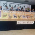 Asamblea General 19 FCCYL