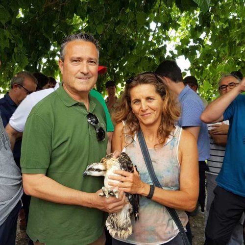 La Federación de Caza de la Comunidad Valenciana presente en el acto de acogida de las primeras crías de águila pescadora