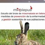 Video-Mixolepus