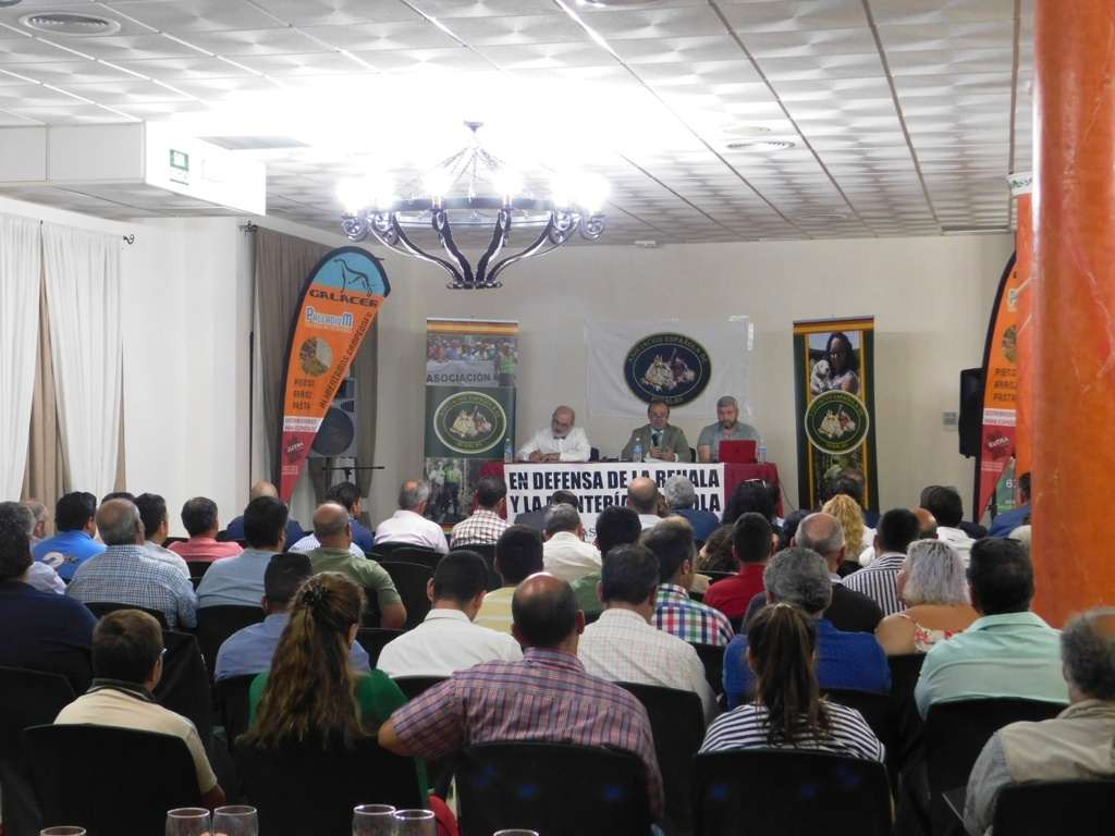 asamblea aer