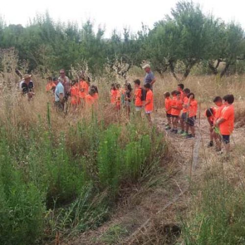 Tercer Campus Vive La Naturaleza en Alborache
