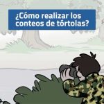 Como-realiza-conteos-de-Tórtolas
