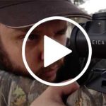 Gamo-en-Vinuelas-web