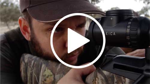 Gamo-en-Vinuelas-web
