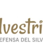 Silvestrismo-08-19