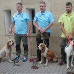 campeonato-perros-rastro-atraillados-jabali-1