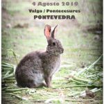 copa-rastro-conejo