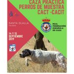 Cpto perros muestra 2019_001