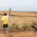 Campeonato-Perros-Muestra-09-19