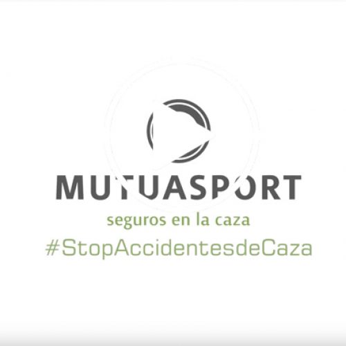 #StopAccidentesdeCaza