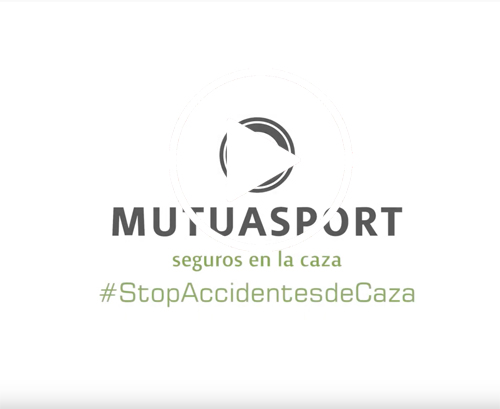 StopAccidentesdeCazavideo