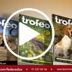 Trofeofederaciones-video ok